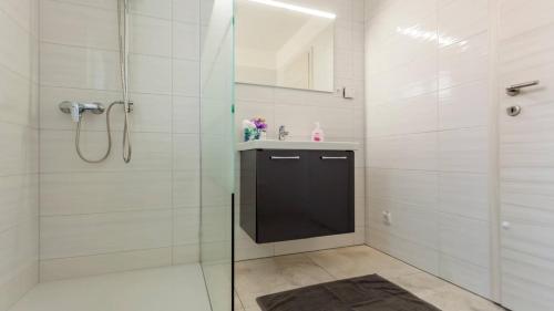 Three-Bedroom Apartment with Terrace image 10