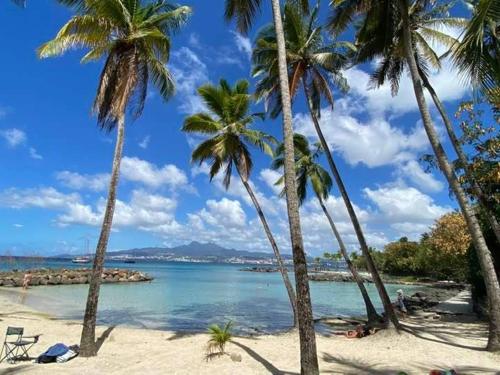 Appartement F3 à la Marina des Trois-Îlets, proche plage et commerces - FR-1-765-19