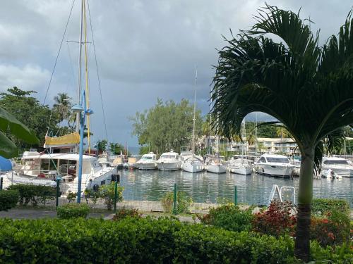 Appartement F3 à la Marina des Trois-Îlets, proche plage et commerces - FR-1-765-19