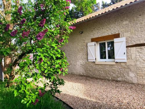 Gîte Marigny-Marmande, 2 pièces, 2 personnes - FR-1-381-559