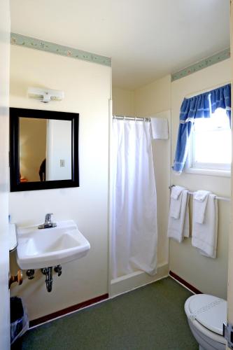 Blue Mountain Motel - image 7