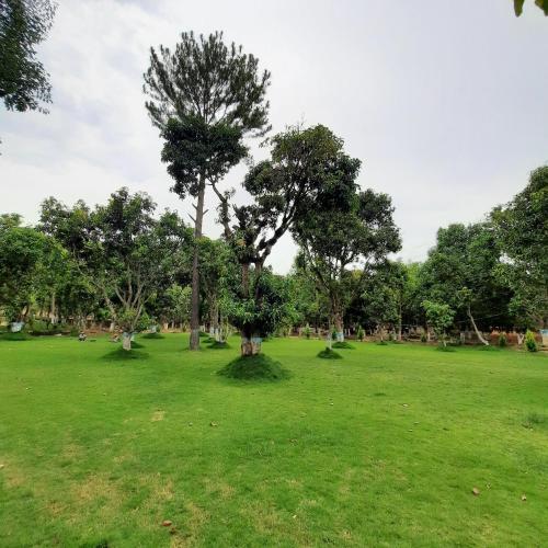 ガーデン, Bastar Greens in ジャグダルプル