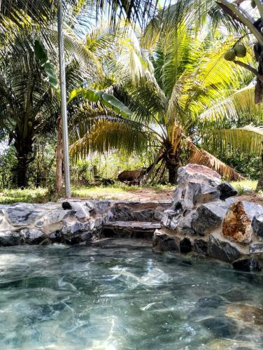 Surrounding environment, Banteay Srey Women's Only Traditional Spa and Homestay in Kampot