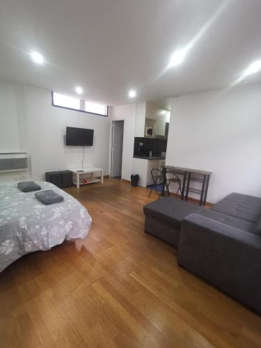 Grand studio clame et confortable - Location saisonnière - Vitry-sur-Seine