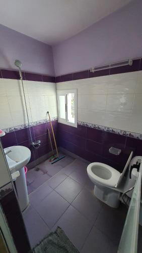hostel aline - image 4