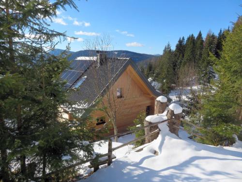 ALMNEST - LACHTAL photo 3