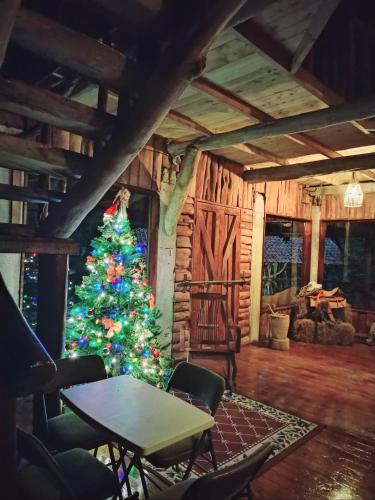 Reserva y Estancia Robles Mimosos Lodge in Cartago