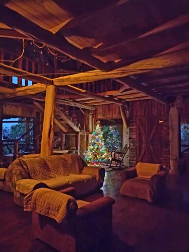 Reserva y Estancia Robles Mimosos Lodge in Cartago