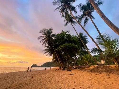 Praia Jalé Ecolodge