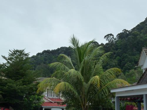 Relax House near Teluk Cempedak Kuantan Relax House near Teluk Cempedak Kuantan