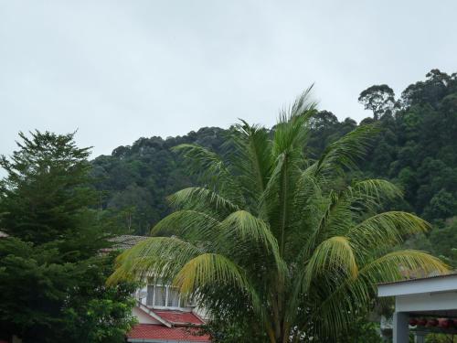 Relax House near Teluk Cempedak Kuantan Relax House near Teluk Cempedak Kuantan