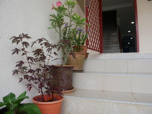 Relax House near Teluk Cempedak Kuantan Relax House near Teluk Cempedak Kuantan