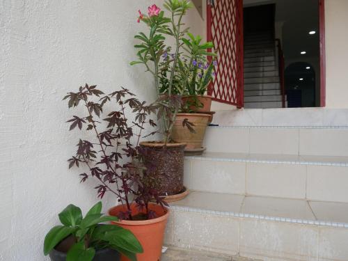 Relax House near Teluk Cempedak Kuantan Relax House near Teluk Cempedak Kuantan