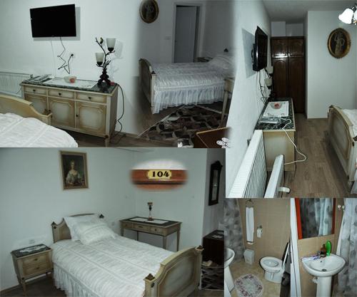 Single Room with Terrace