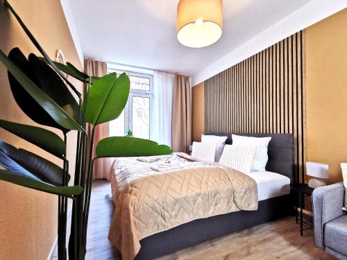 BohnApartments Junior SUITE Blume 14 - Nähe Dom - WLAN in Erfurt, Deutschland