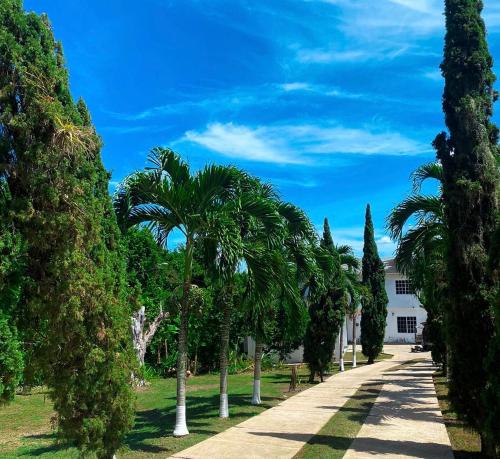 Lachemar GuestHouse in Ocho Rios