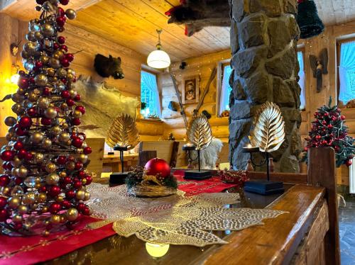 Pensjonat u Ani - Zakopane