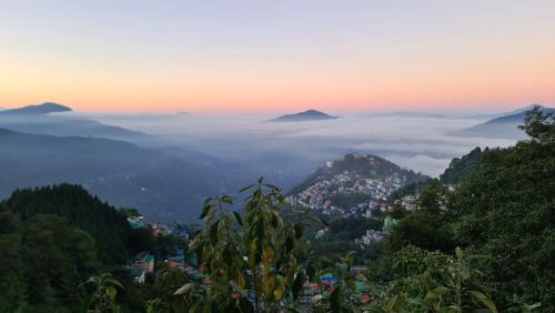 Morning Mist Homestay