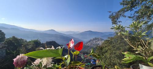 Morning Mist Homestay