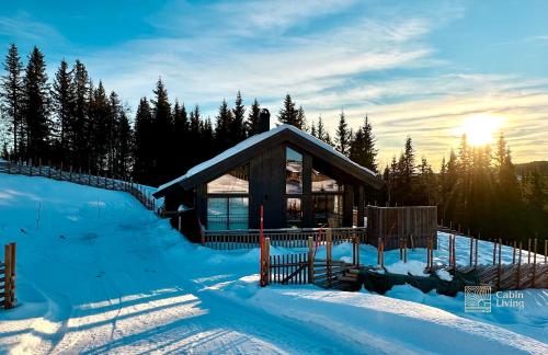 New cabin with jacuzzi, sauna and ski inout