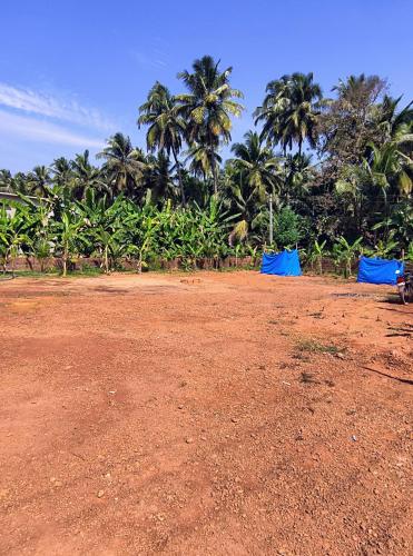 Skats, Lopez Paradise - Honnavar in Honnavar