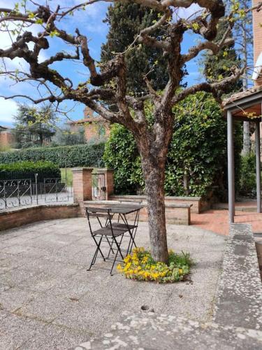 Casa degli Affreschi Tuscany - Apartment - San Rocco a Pilli