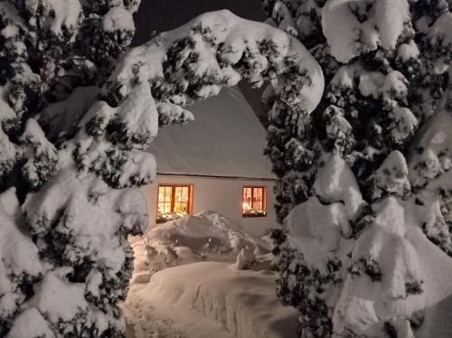 Ferienwohnung Ulbrich in Schellerhau, Deutschland