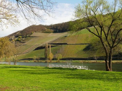 Apartment in Trittenheim with Terrace and Garden