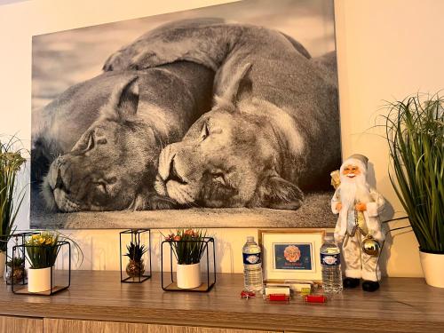 Residence Du Moulin 2-c Proche De Pairi Daiza - Parking Gratuit - Saint-Ghislain