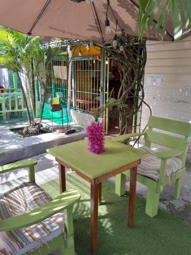 Giardino, Hostal Hansi in Bocas del Toro