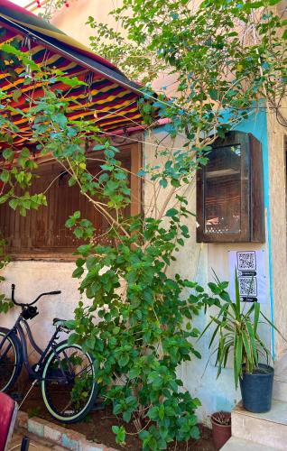 Jardín, Al-Amer Hostel 1 in Aqaba