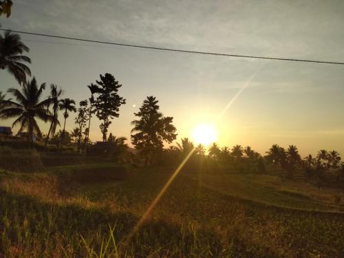 Taman Homestay in Senaru