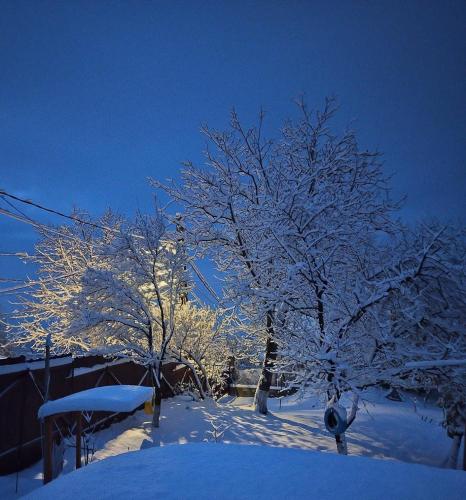 Casa Golub - Transylvania - Romania