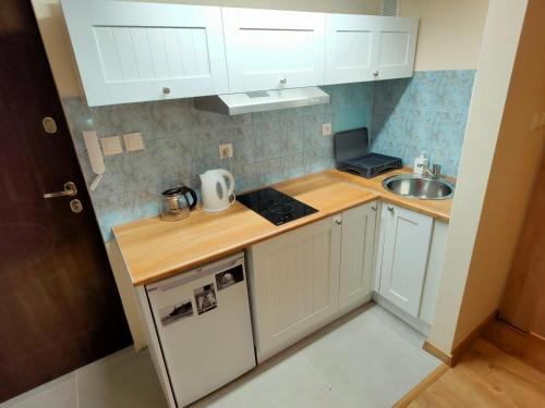 Krakow Old Town Apartment