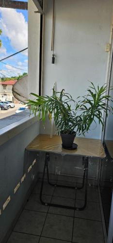 DOWNTOWN LOFT in Saint-Laurent-du-Maroni