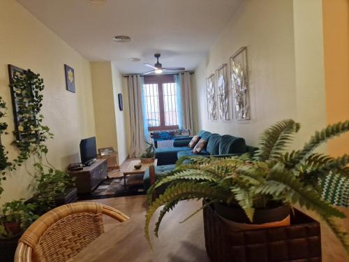 La casa del patio ATBA00260 in ซาฟรา / เลเรนา