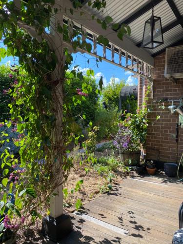 Wingham House - Pet Friendly