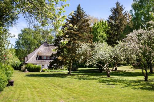 Reetdachhaus mit Nähe zur Ostsee, Außensauna, Spielplatz & großem Garten