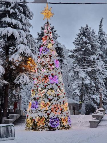 Borjomi Home Borjomi