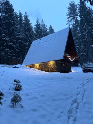 Chatka v lese - Chalet - Ružomberok