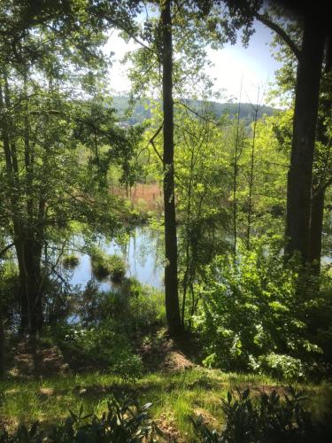 Hotel Dufays - image 8