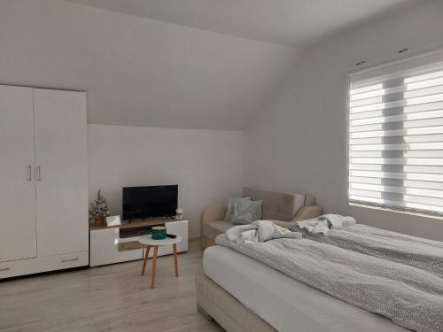 Studio Andrijana Sokobanja - Location saisonnière - Sokobanja