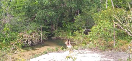 Private Beach Jungle Cabañas