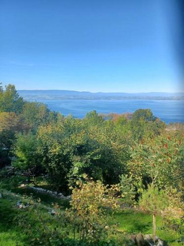 Charmante location Hauts d'Evian - Apartment - Publier