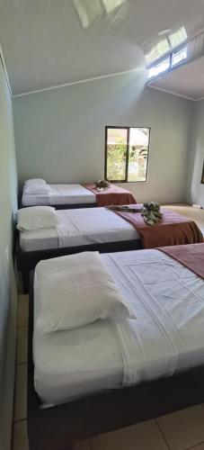 . Cabinas Corcovado Green Parrot, Los Planes Drake