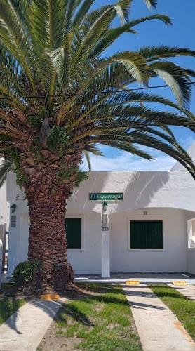 El Esparragal Santa Clara del Mar - Vivorata