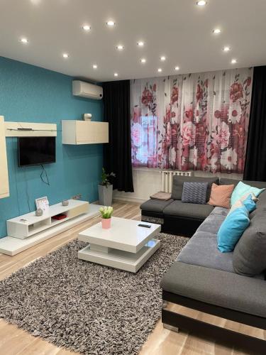 Igenyes Lakas in Eszaki Varos