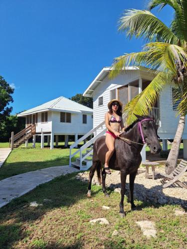 B&B Sarteneja - Horse Cottage - Bed and Breakfast Sarteneja