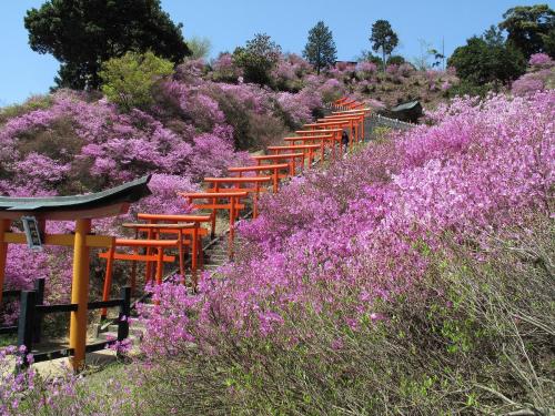 Mercure Kyoto Miyazu Resort & Spa