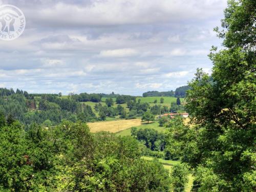 Gîte Belmont-de-la-Loire 4 pièces 8 personnes - FR-1-496-32 - image 7